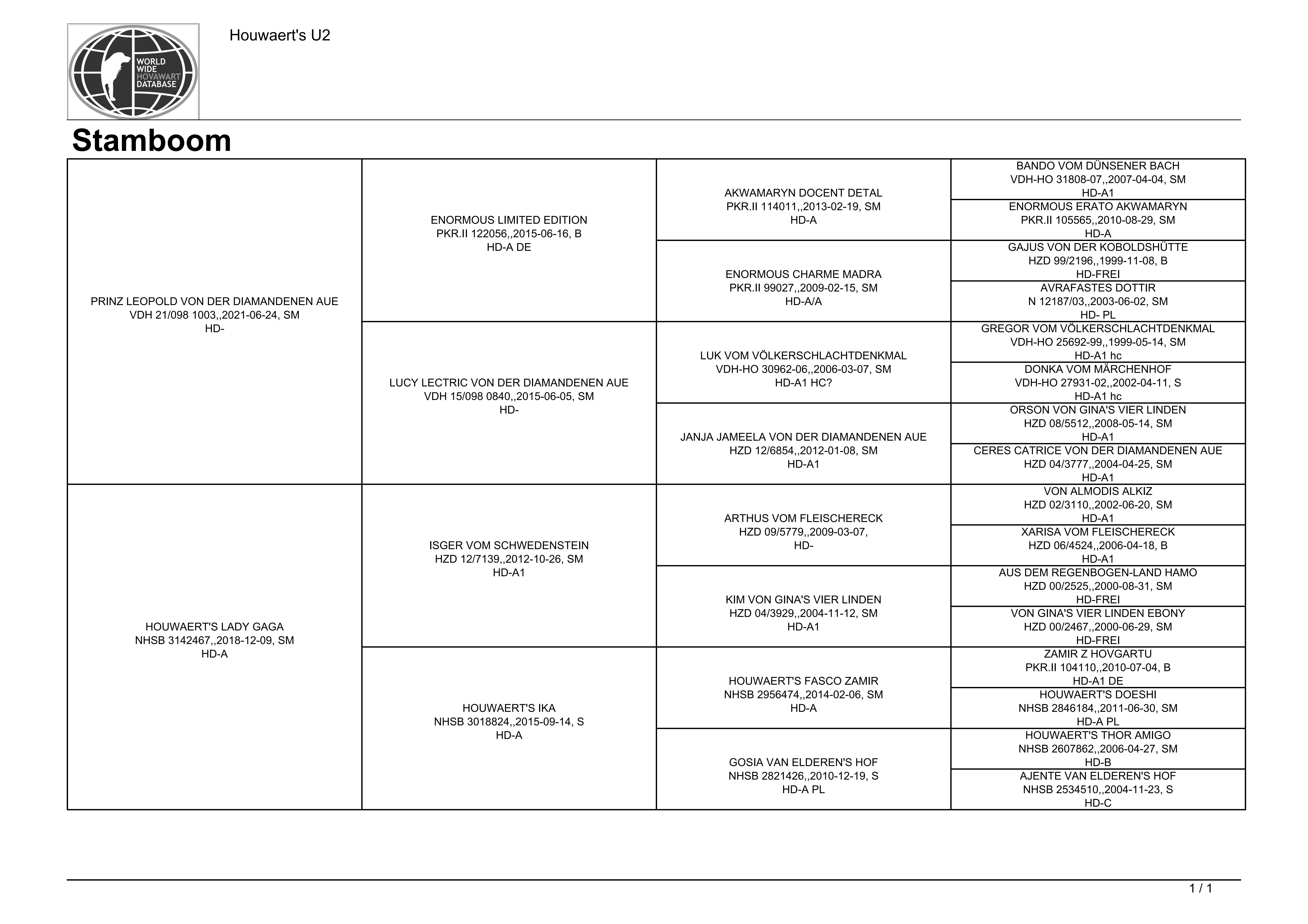 U2 3 Stamboom Laska x Prinz