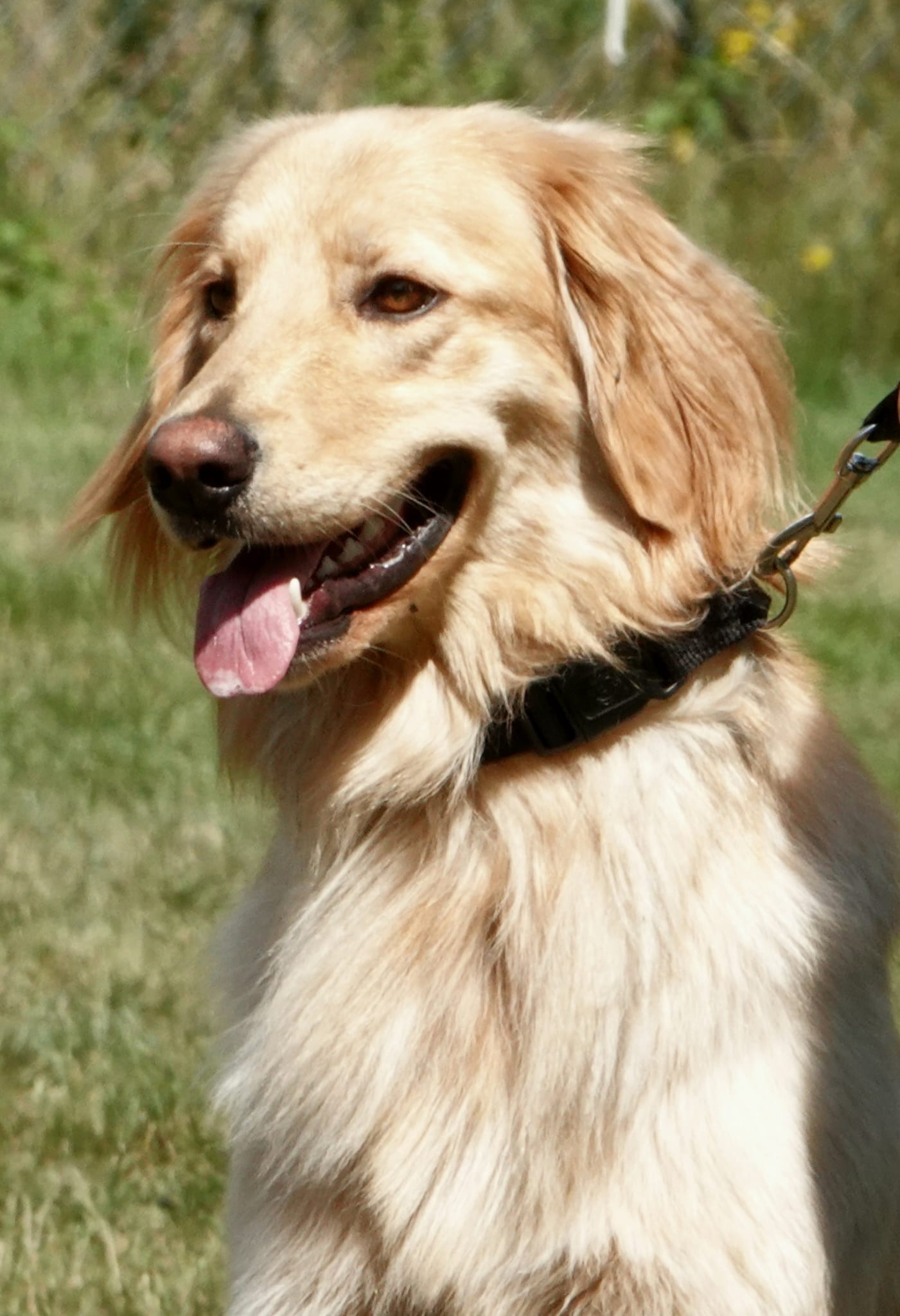 ae9c4f53 5504 45e7 9301 fb745940342b